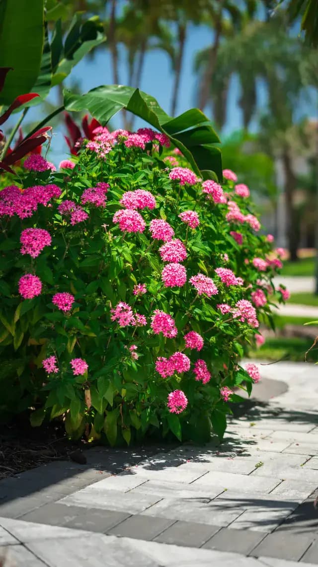 Residential landscaping